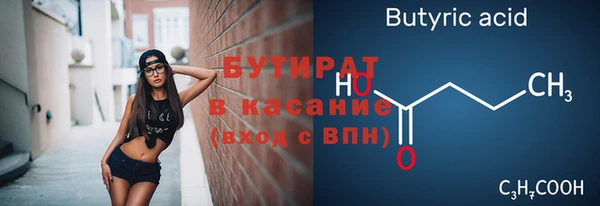 индика Беломорск