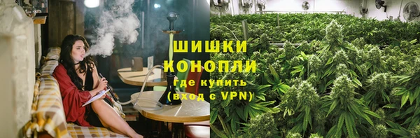 индика Беломорск
