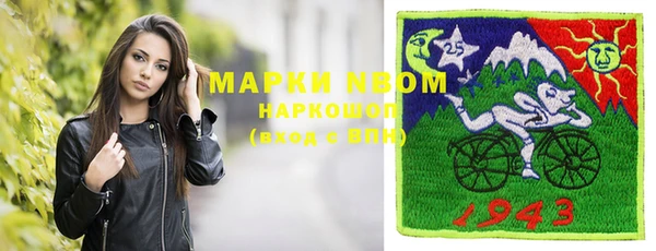 индика Беломорск