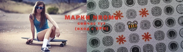 индика Беломорск