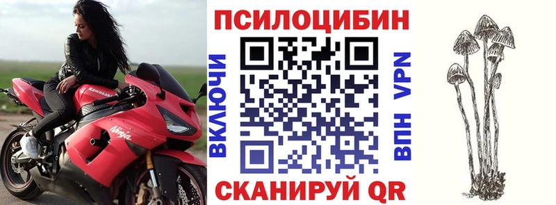 Псилоцибиновые грибы Psilocybe  цена   Егорьевск 